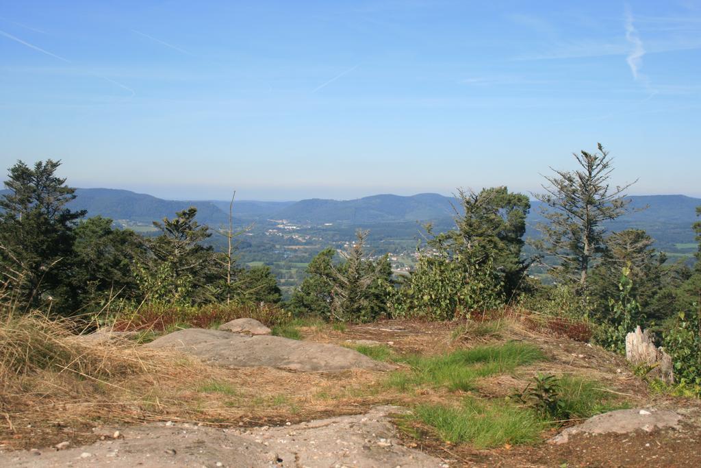 Village Vacances Cap France La Bolle Saint-Die-des-Vosges Esterno foto